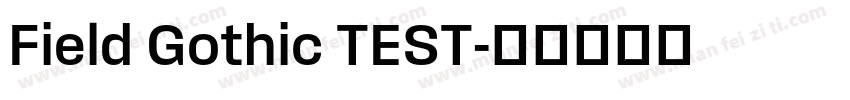 Field Gothic TEST字体转换